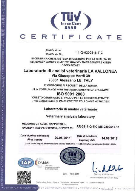 CERTIFICATO UNI EN ISO 9001:2008