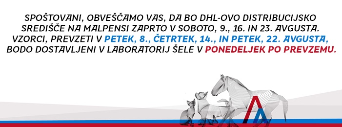 Mylav - Benvenuto futuro